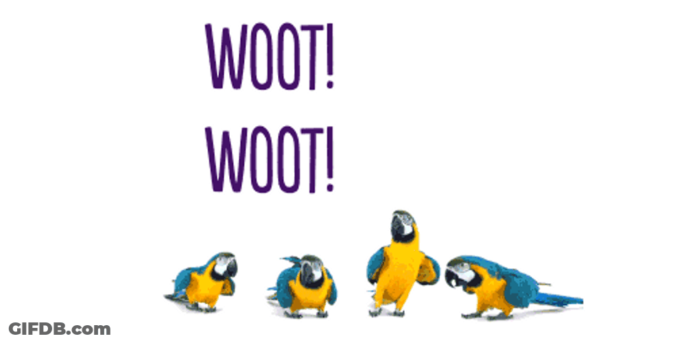 Macaw Woot Vibe GIF