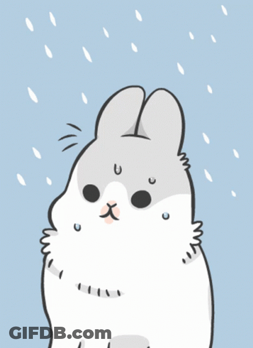 Machiko Rabbit Spotlight GIF
