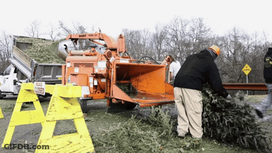Machine Generating Mulch From Tree With Leaves GIF