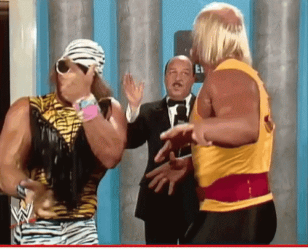 Macho Man And Hulk Hogan Hand Shake GIF