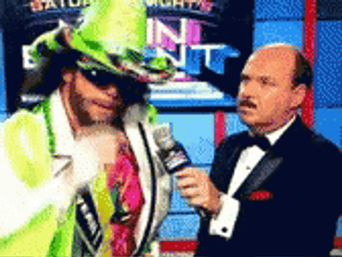 Macho Man Insane Interview Speech GIF