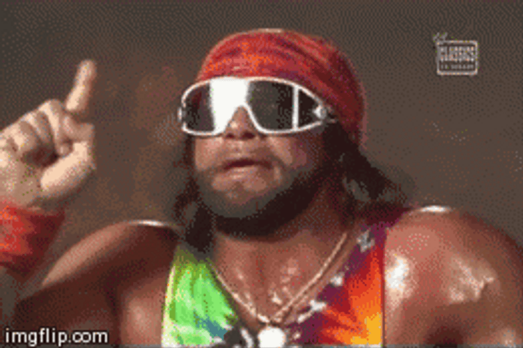 Macho Man Randy Oh No GIF