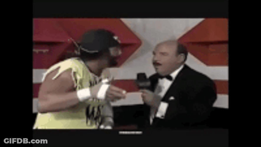Macho Man The Participant GIF