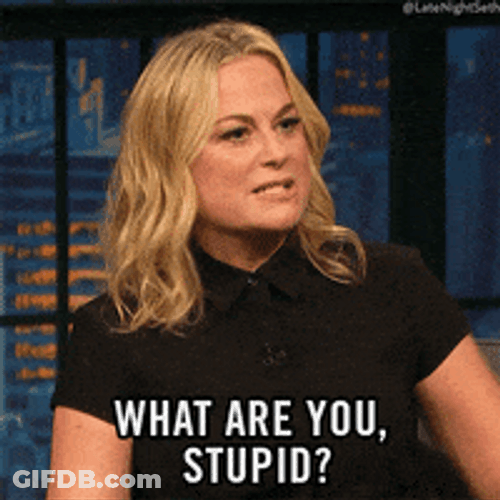 Mad Amy Poehler Asking Are You Stupid GIF