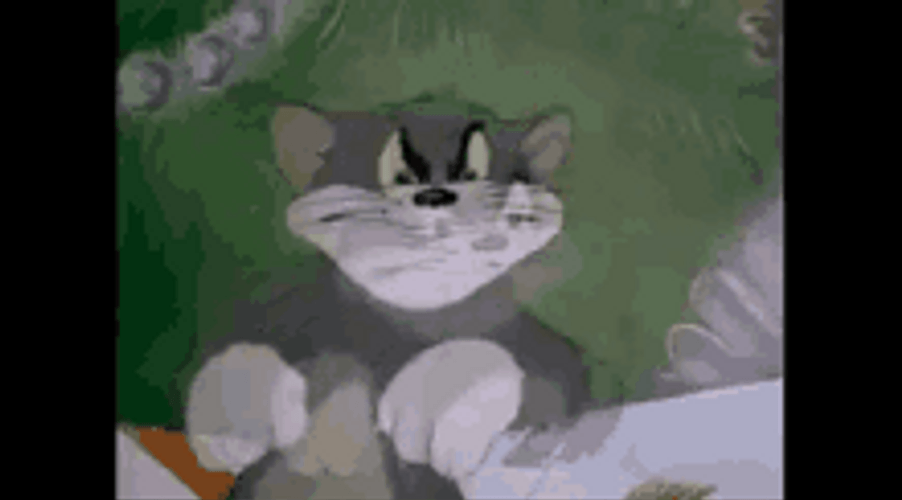 Mad Angry Tom GIF