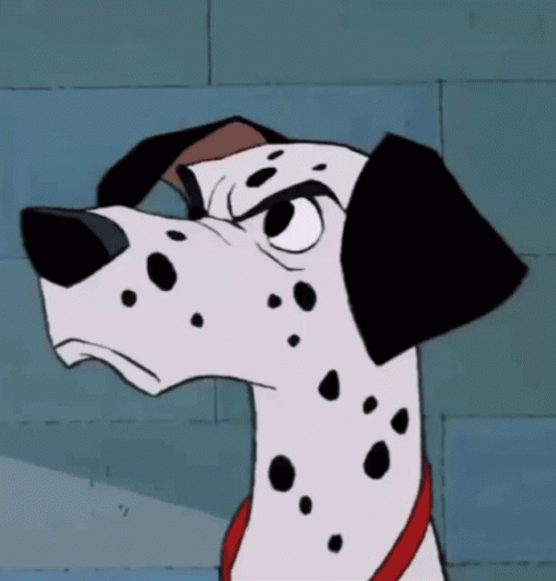 Mad Dalmatian Staring GIF