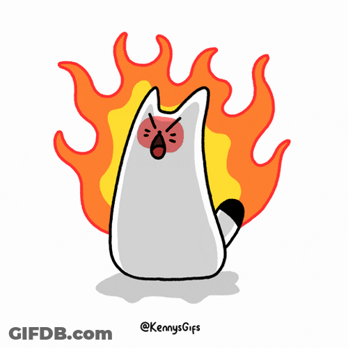 Mad Face Animated Cat Raging Fire GIF