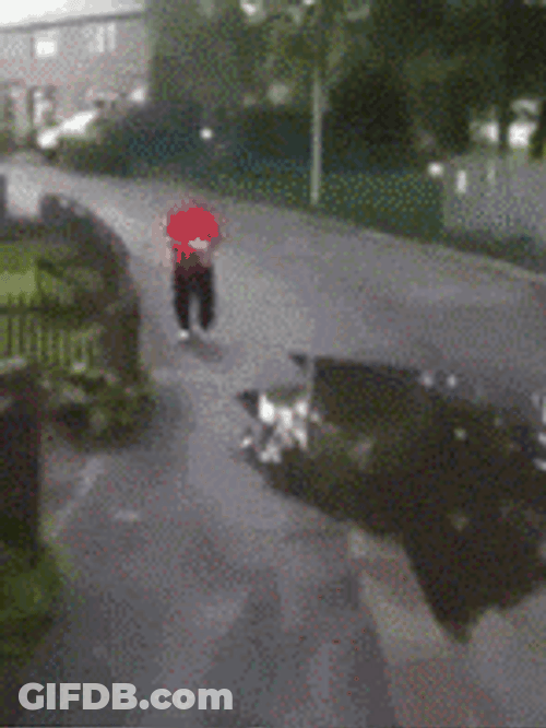 Mad Man Walking On Wet Road GIF