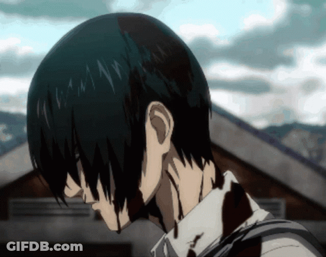 Mad Mikasa Full Of Blood GIF