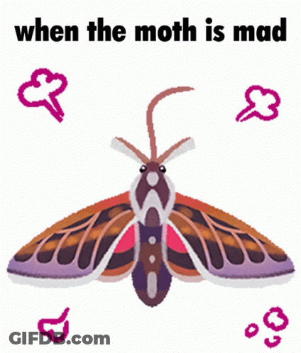 Mad Moth Saying When The Moth Is Mad GIF