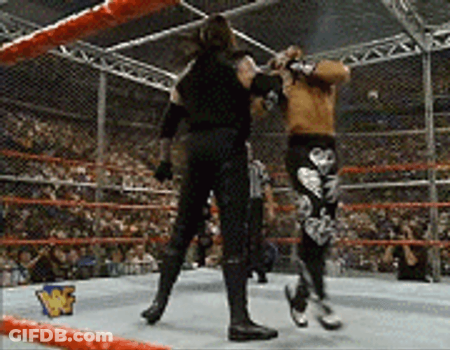 Mad Shawn Michaels Wrestling Punch GIF