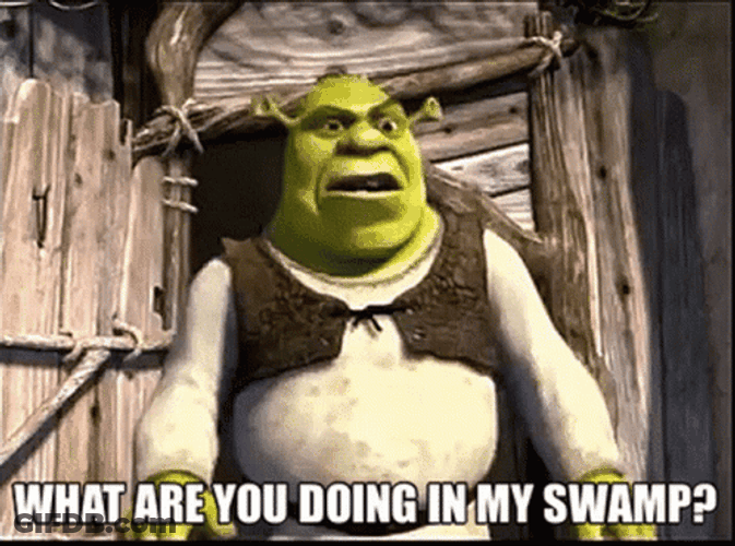 Mad Shrek Shouting At Someone GIF