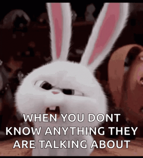 Mad Snowball I Know Nothing GIF