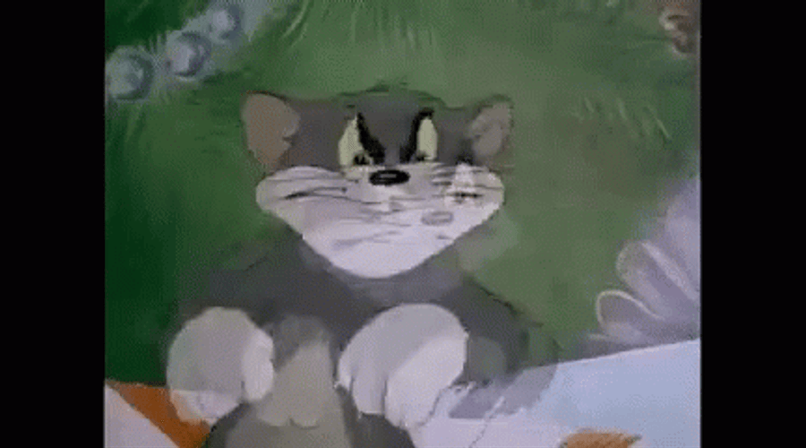 Mad Tom Cat Crossing His Paws GIF