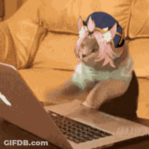 Mad Typing Cat Cute Headband GIF