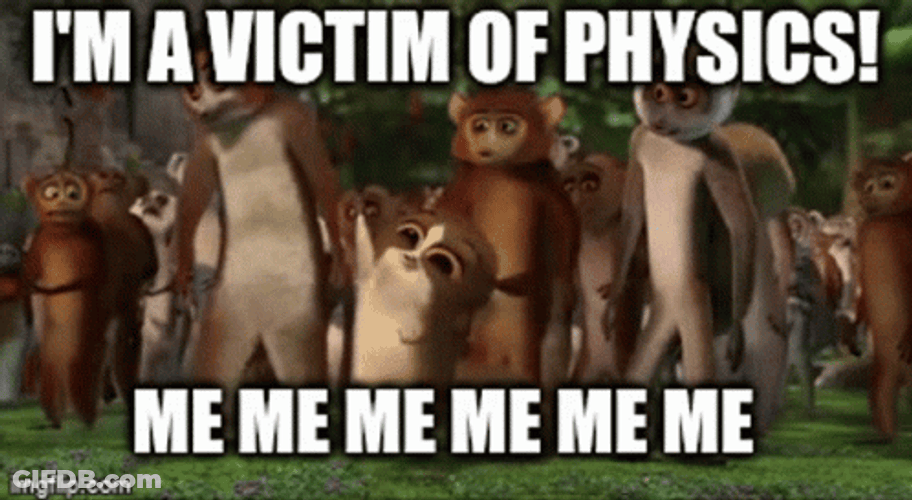 Madagascar Animated Film Mort Mouse Lemur Mememe GIF