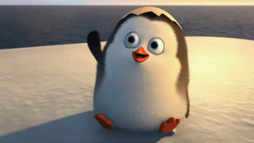 Madagascar Baby Private Penguin GIF