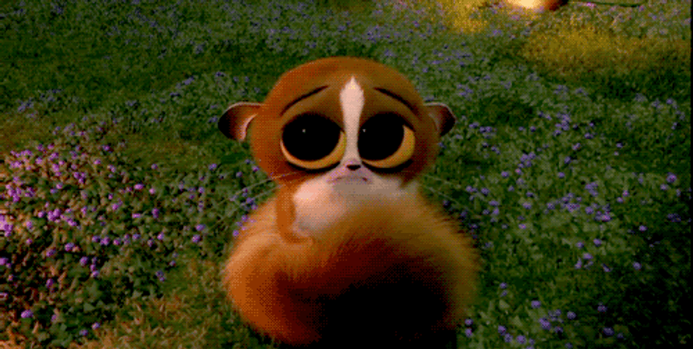 Madagascar Cute Mort GIF