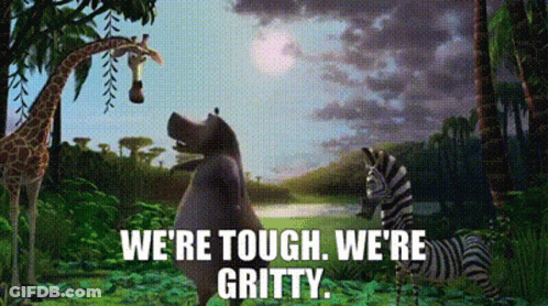 Madagascar Gloria GIF