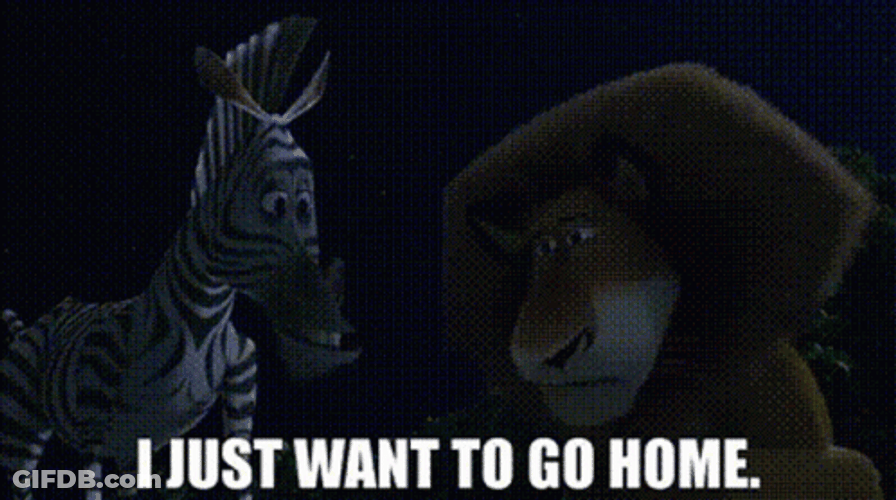 Madagascar I Wanna Go Home GIF