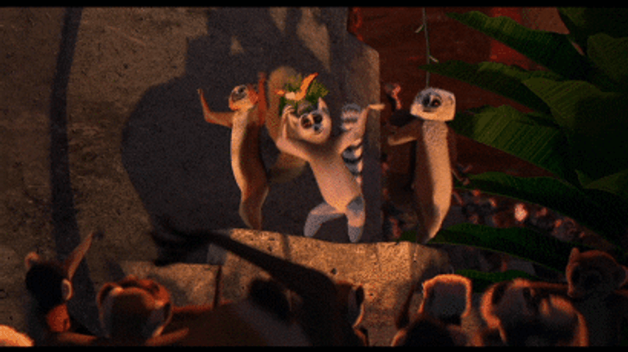 Madagascar Lemurs Dance Party GIF