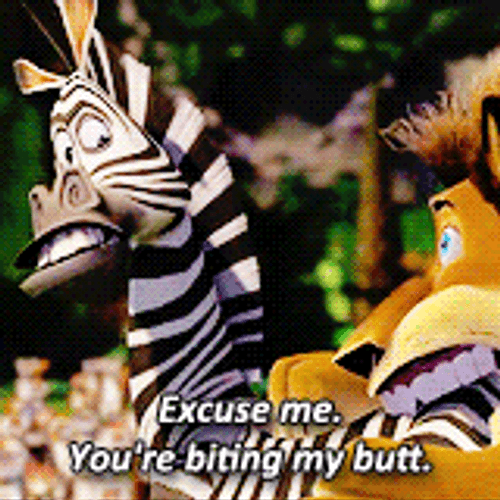 Madagascar Marty Excuse Me GIF