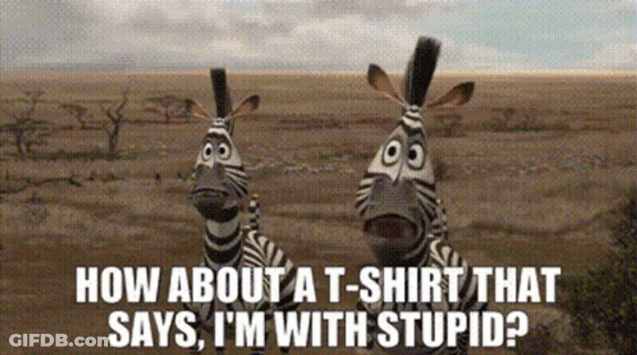 Madagascar Marty Im Dumb Im With Stupid GIF