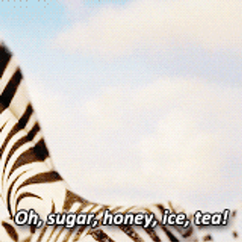 Madagascar Marty Running Away GIF