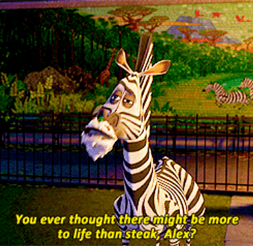 Madagascar Marty Steak Life Question GIF