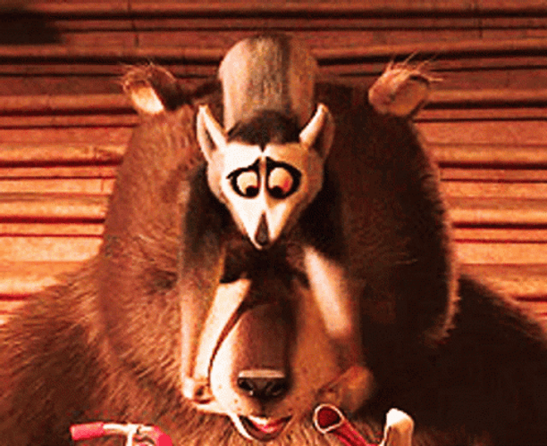 Madagascar Pinching Bear Cheeks GIF