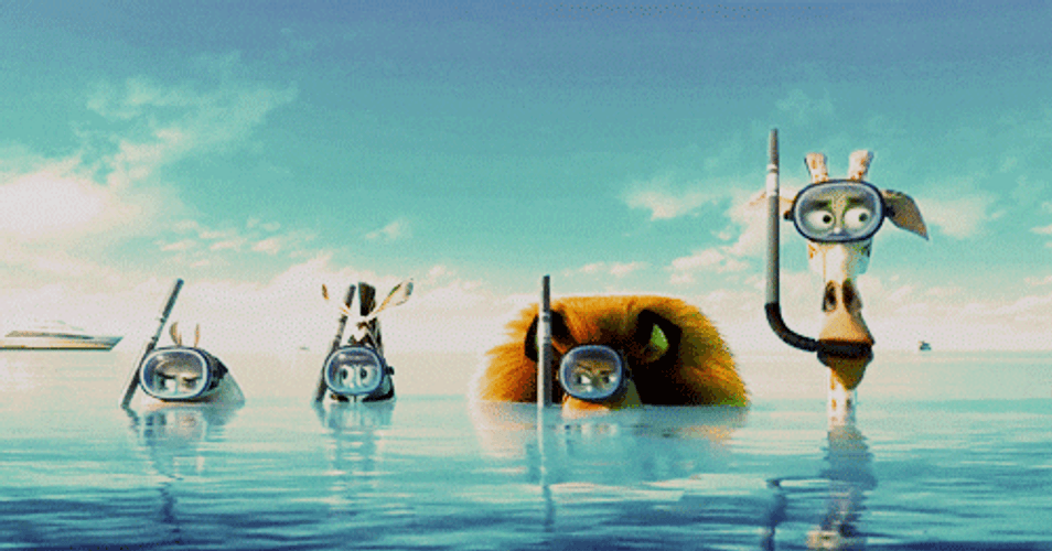 Madagascar Underwater Spies GIF