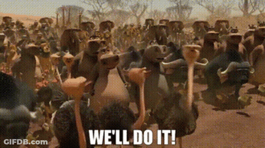 Madagascar We'll Do It GIF