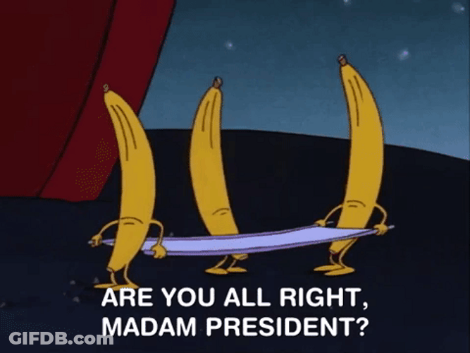 Madam President Rockos Modern Life GIF