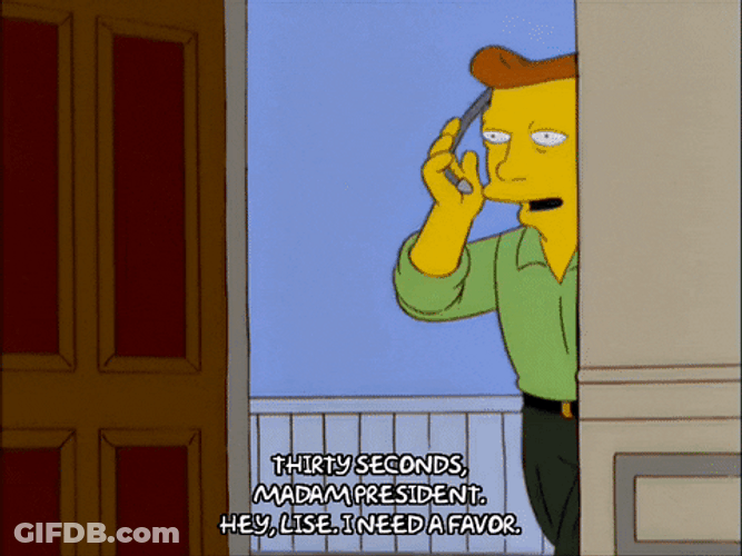 Madam President The Simpsons Bart Lisa GIF