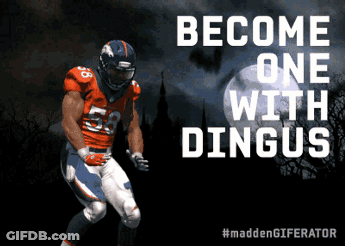 Madden Dingus GIF