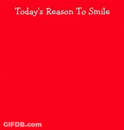 Made It Through Monday Smile GIF