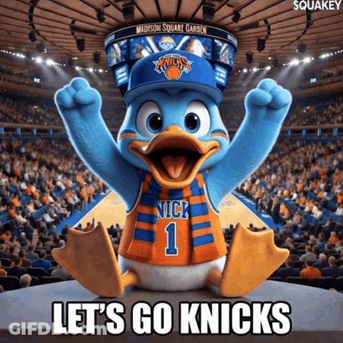 Madison Square Garden Duck In Nick 1 Jersey GIF
