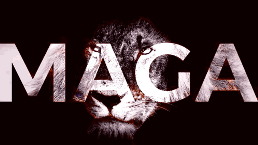 Maga Lion Display GIF