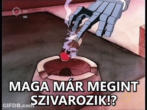 Maga Mar Megint Zivarozik Cartoon GIF