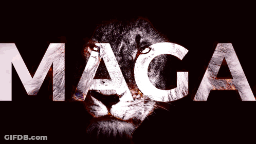 Maga On Red And Yellow Background GIF