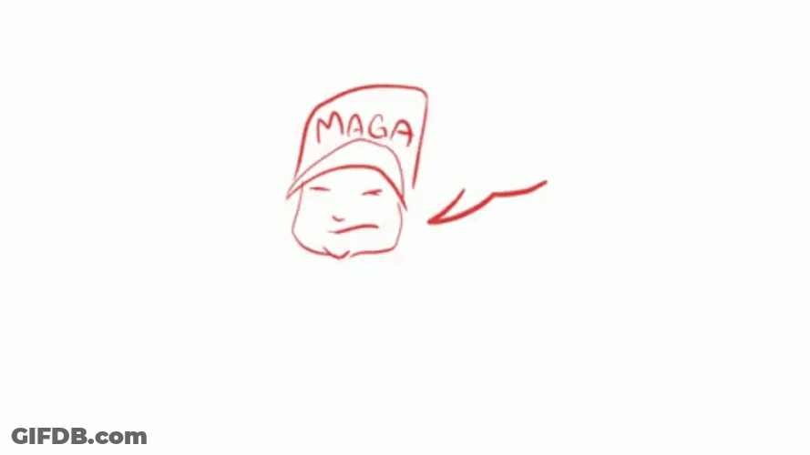 Maga Wall Thoughts GIF