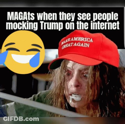 Magats When They See People Mocking Trump On The Internet With A Picture Of A Woman Wearing A Make America Great Again H GIF