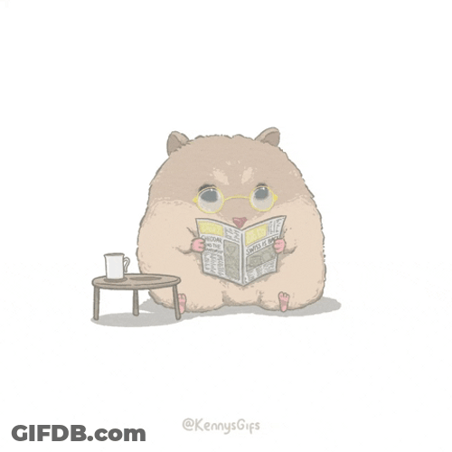 Magazine Cute Guinea Pig GIF