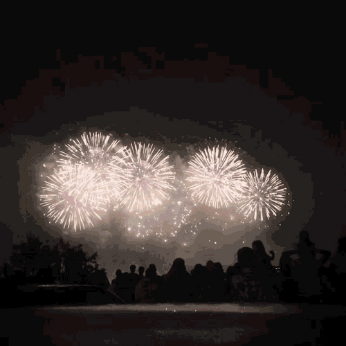 Magical ChrysanthemumFireworks GIF