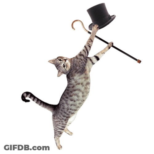 Magician Dancing Cat Meme GIF