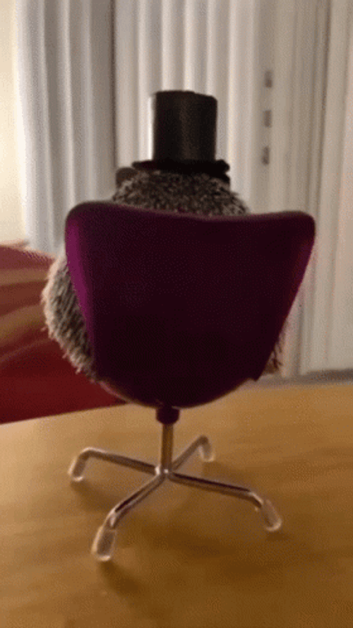 Magician Hedgehog Turn Around GIF