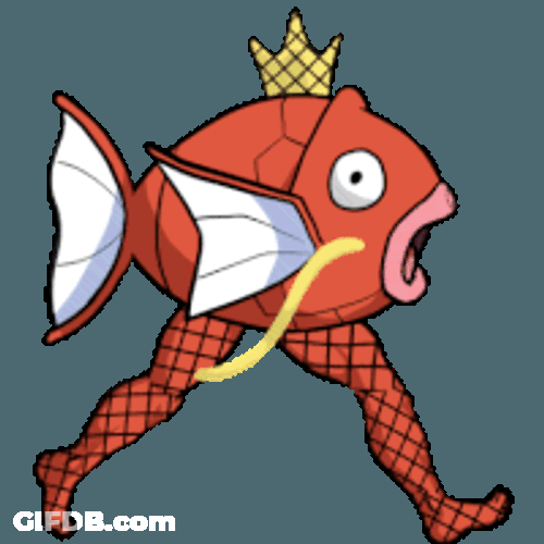 Magikarp Fish Sticker GIF