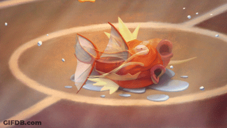 Magikarp Pokemon Trading Card Game GIF