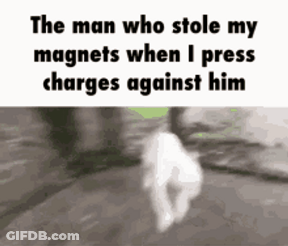 Magnet Crazy Wild Dog Funny Meme GIF