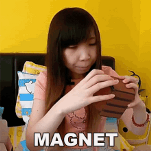 Magnet Toy Door Stick Together Meme GIF